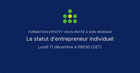 Le Statut D Entrepreneur Individuel Formation Efficity