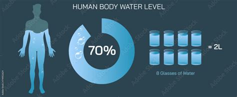 importance  hydration  average  ideal water level