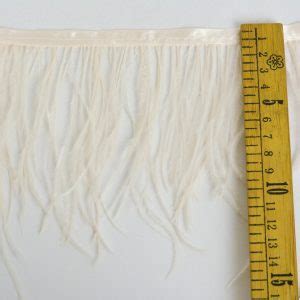 Pene Strut Nude Texmag Ro