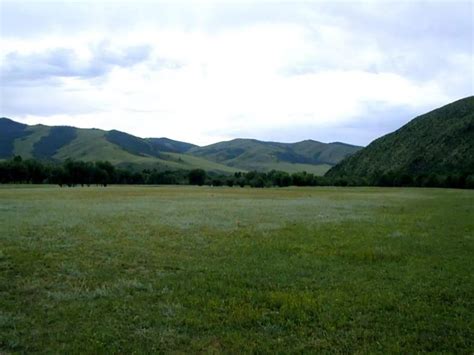 mongol ornii baigaliin busiin tuhai