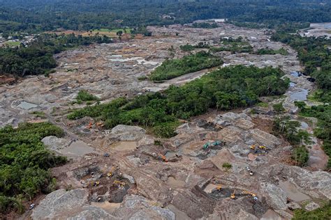 Newly Described Dicaprios Snake And Others Threatened By Mining In