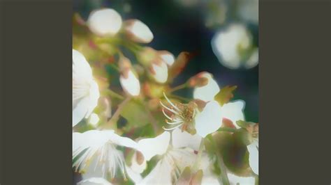 Dildo W Dupie Remix YouTube