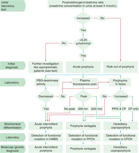 Example of a relatively complex diagnostic pathway for the differential ...