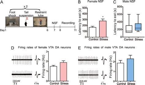 Sex Differences In The Neuroadaptations Of Reward Related Circuits In