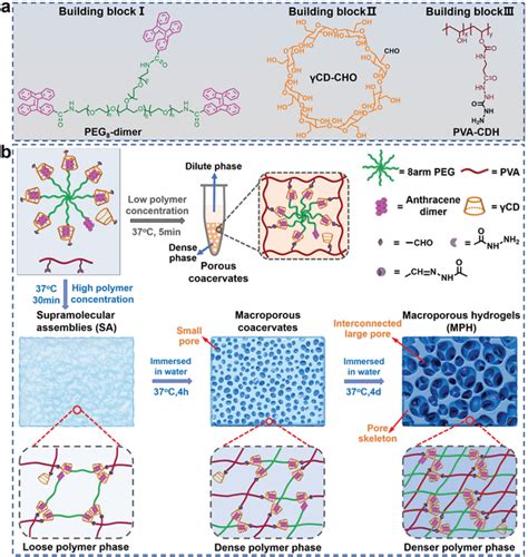 A The Chemical Structures Of Three Building Blocks For The