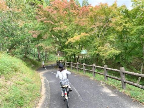 【福岡】【佐賀・三瀬】こんな穴場が！！ΣﾟДﾟ【佐賀県立21世紀県民の森】で大人も子どもも思いっきりサイクリングだぜ♪ Peko隊の冒険