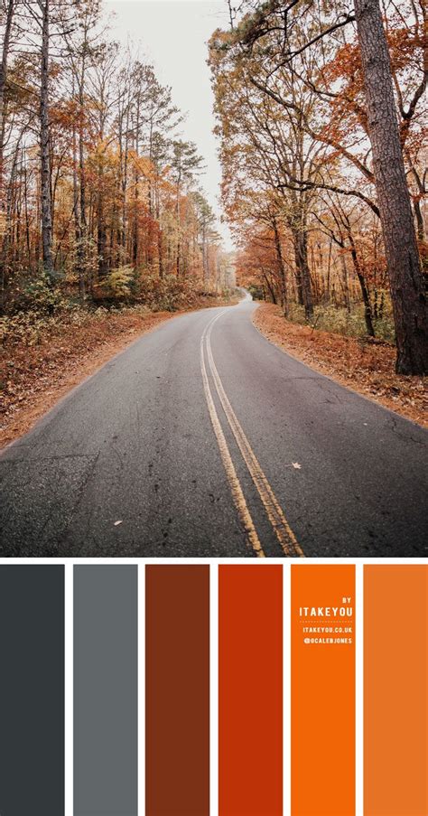 Brown Dark Grey and Orange Rust Color Scheme – Color Palette #27 | Rust ...