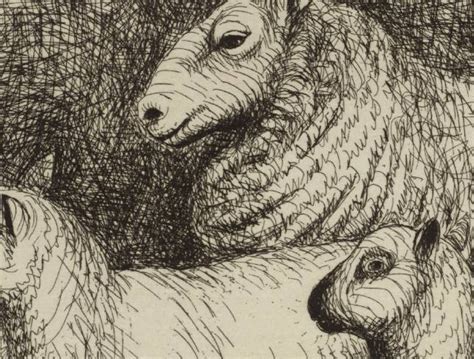 Art And About Henry Moores Sheep Sketches