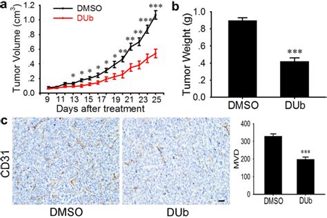 DUb Suppresses MCF Xenograft Tumor Growth And Angiogenesis In Nude