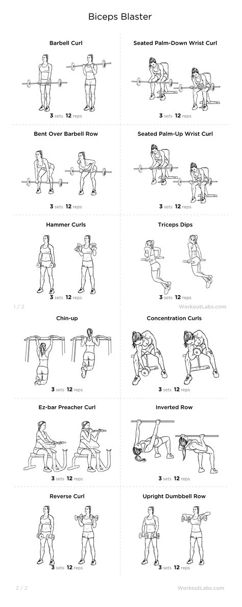 Essential Bicep Workouts at Douglas Borba blog