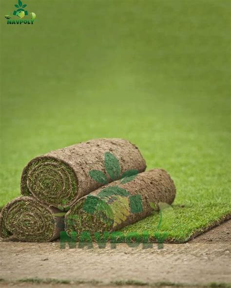 Green Plastic Lawn Grass At ₹ 65sq Ft In Jaipur Id 2853059950088