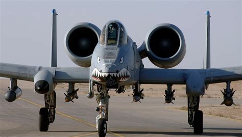 Why is The A-10 Thunderbolt Nicknamed “Warthog”? – amazing.caphemoingay.com