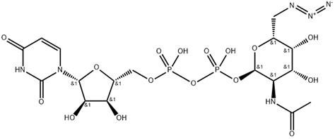 Udp 6 Azido 6 Deoxy N Acetyl D Galactosamine Cas 1202854 87 2