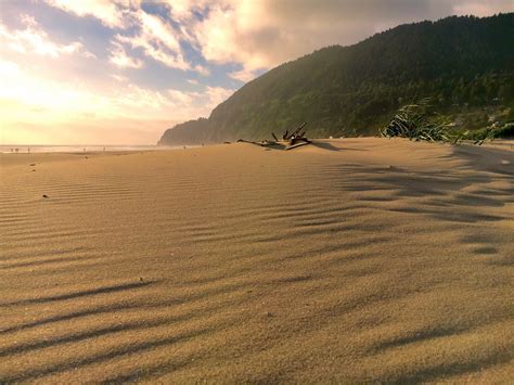 Manzanita weather and climate | Sunheron