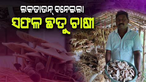 ଲକଡାଉନରୁ ସଫଳ ଛତୁ ଚାଷୀ Became A Successful Mushroom Farmer During