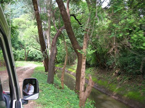 Indira Gandhi National Park In Tamilnadu Anamalai Tiger Reserve