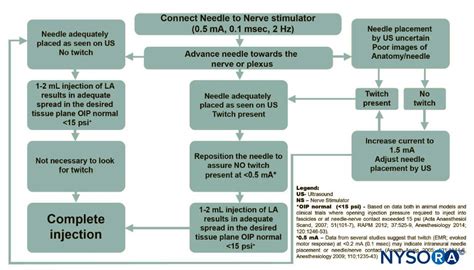 Introduction to Ultrasound-Guided Regional Anesthesia - NYSORA