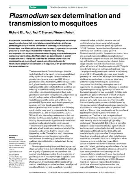 Pdf Plasmodium Sex Determination And Transmission To Mosquitoes