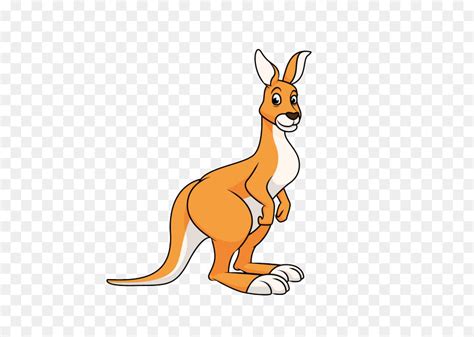 Kangaroo Pics Cartoon - Infoupdate.org