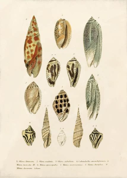 В поисках : egida — LiveJournal