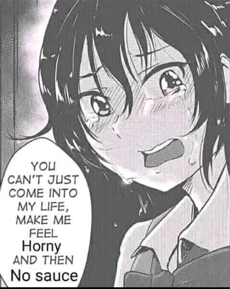 No Sauce For The Horny R Animemes