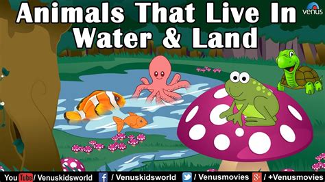 Animals That Live On Land Water And Air Worksheet - Printable Online