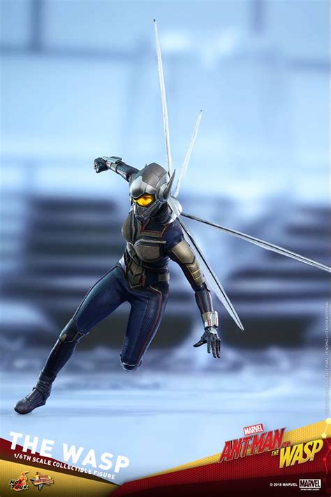 Hot Toys蟻俠2黃蜂女現身黃蜂女 The Wasp 1 6比例珍藏人偶登場 Toys Zone D 玩具兄弟 Figures Price List Reviews