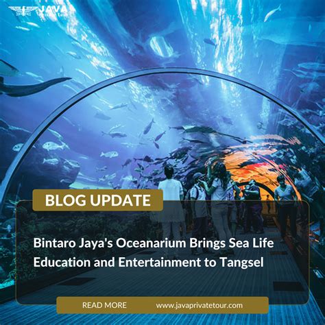 Bintaro Jaya's Oceanarium Brings Sea Life Education and Entertainment