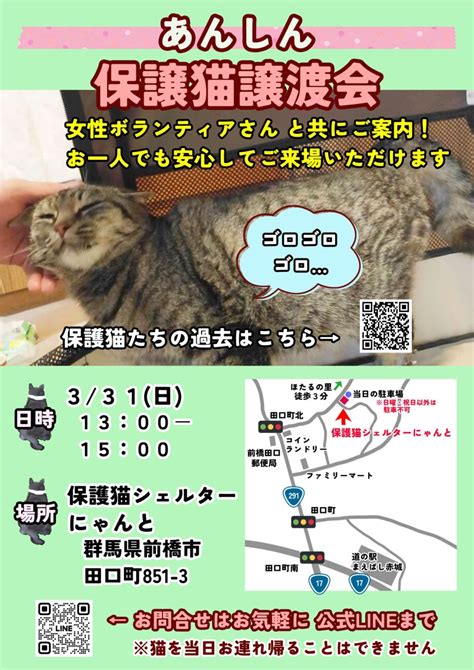 「あんしん保護猫譲渡会」（保護猫シェルターにゃんとのイベント 22065） ペットのおうち【里親決定25万頭！】