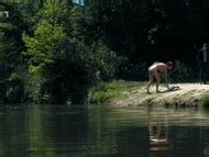 Naked Sandra Pascal In Last Will