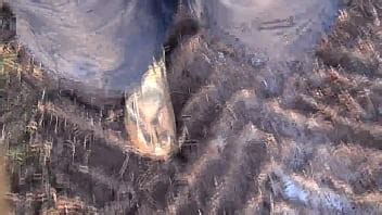 See Through Videos Page XVIDEOS