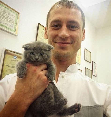 Котики на приеме у ветеринара | Пикабу