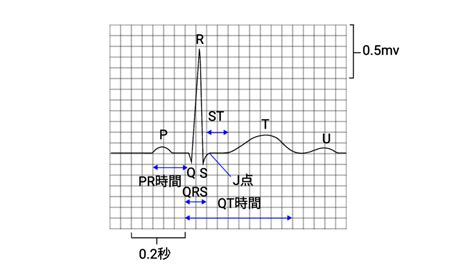 わかりやすい心電図の説明 ①心電図 心電図の基本波形と正常値 | 医師の心電図ブログ