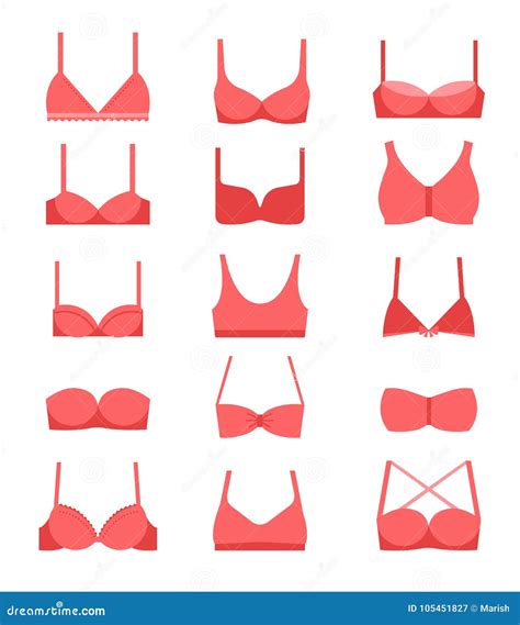 Types Of Bras Collection Of Lingerie Women S Underwear Vector