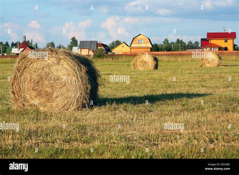 hay rolls  fields high resolution stock photography  images alamy