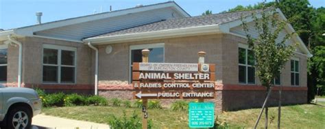 Shelter Info Friends Of The Burlington County Animal Shelter