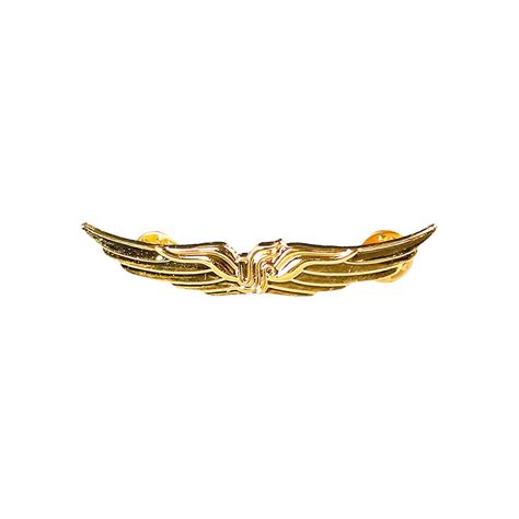 Pilot Badge Captain Chest Badge Aviation Wing Badge Metal Airlines Pin