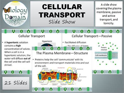 Cellular Transport Slide Show | Teaching Resources