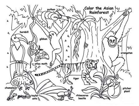 Free Printable Rainforest Coloring Pages Pdf - Coloringfolder.com ...