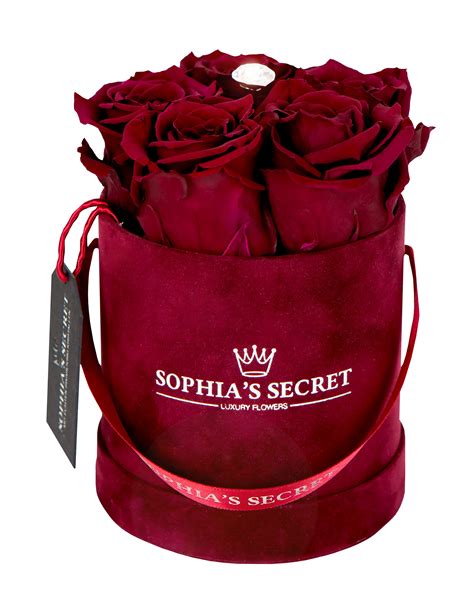 Sophia´s Secret Rosenbox Veredelt Mit Echten Kristallen Sophias Secret