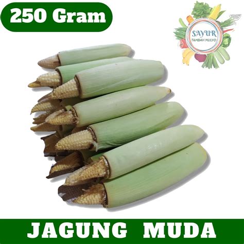 Jual Sayur Segar Jagung Manis Muda Putren Acar Gr Gram Murah