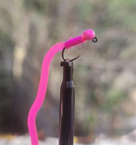 Worm rose - Angefly