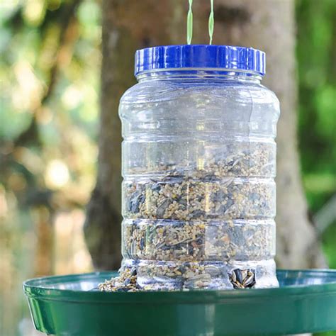 Homemade Bird Feeders Ideas