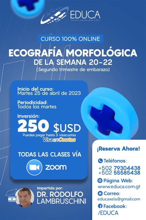 Curso Online Ecograf A Morfol Gica De La Semana Educa