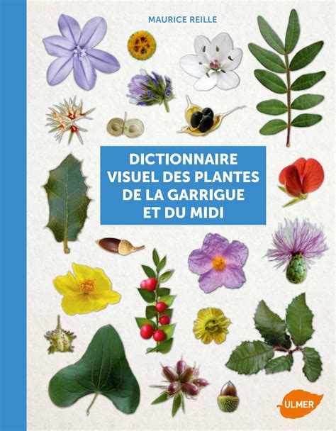 Extrait Dictionnaire Visuel Des Plantes De La Garrigue Et Du Midi