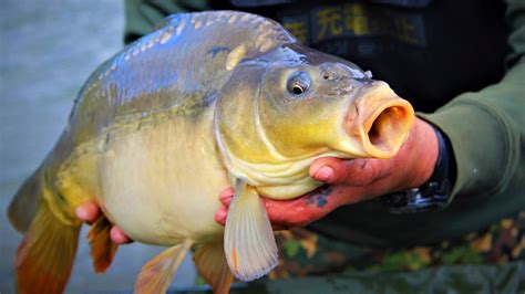 Озеро Максимовка