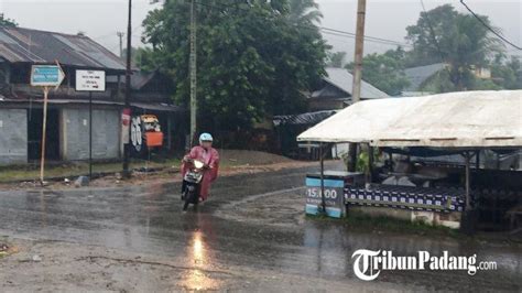 Cuaca Buruk Di Kota Padang Bpbd Kabarkan Ada Pohon Tumbang Hambat