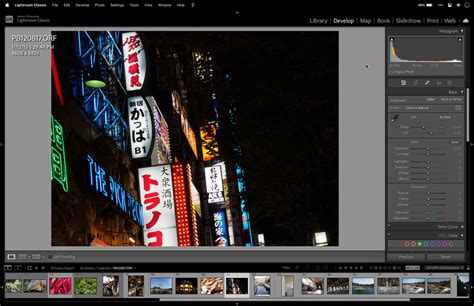 Preparing Raw Files In Lightroom For Radiant Photo Radiant Photo