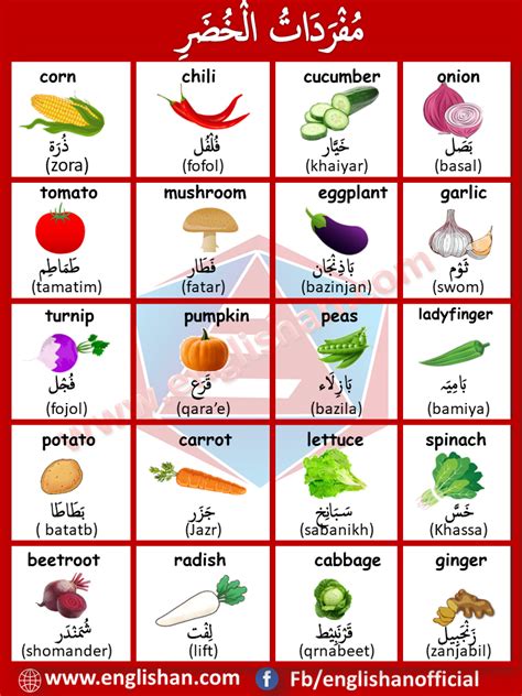 Vegetables Vocabulary with English and Arabic | Learning arabic for ...