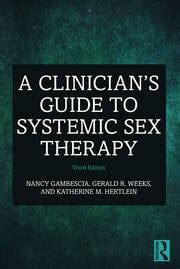 A Clinician S Guide To Systemic Sex Therapy Rd Edition Nancy Gamb